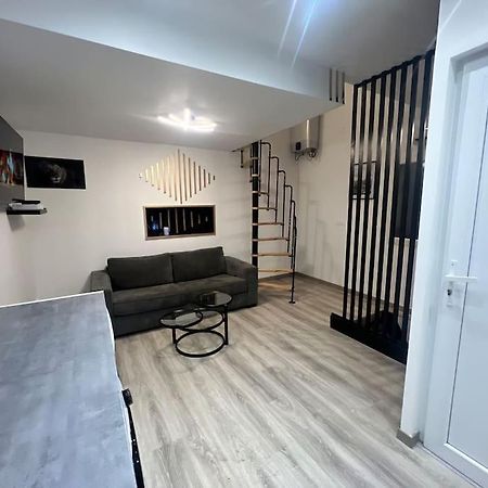 Maison Appartement Triplex Avec Jacuzzi Et Sauna 생테티엔 외부 사진