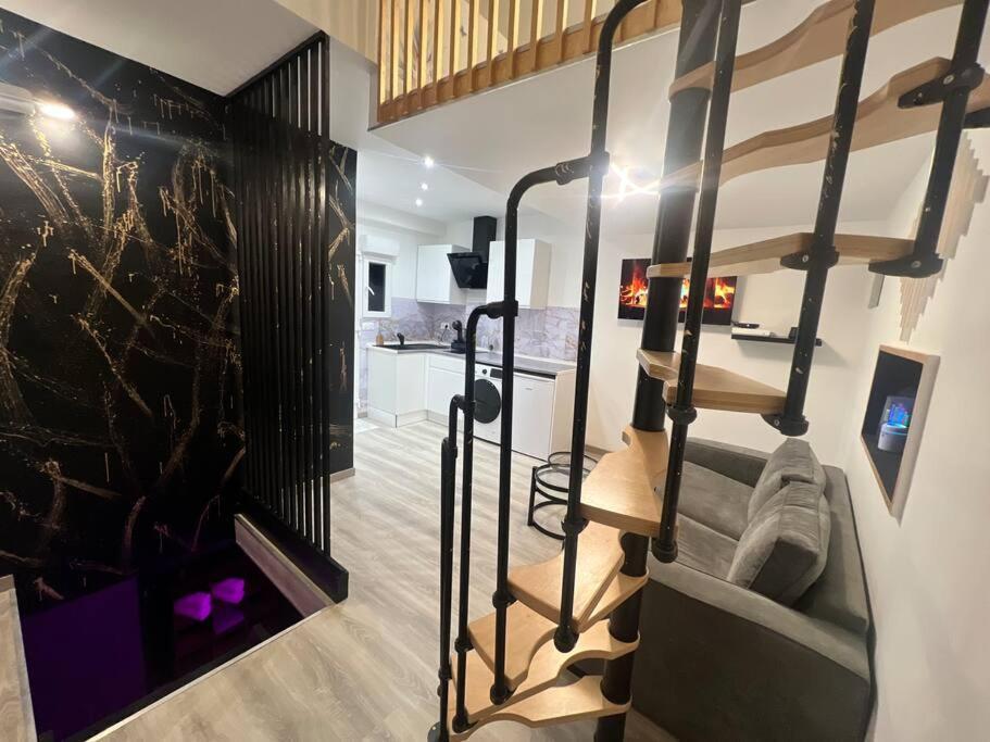 Maison Appartement Triplex Avec Jacuzzi Et Sauna 생테티엔 외부 사진